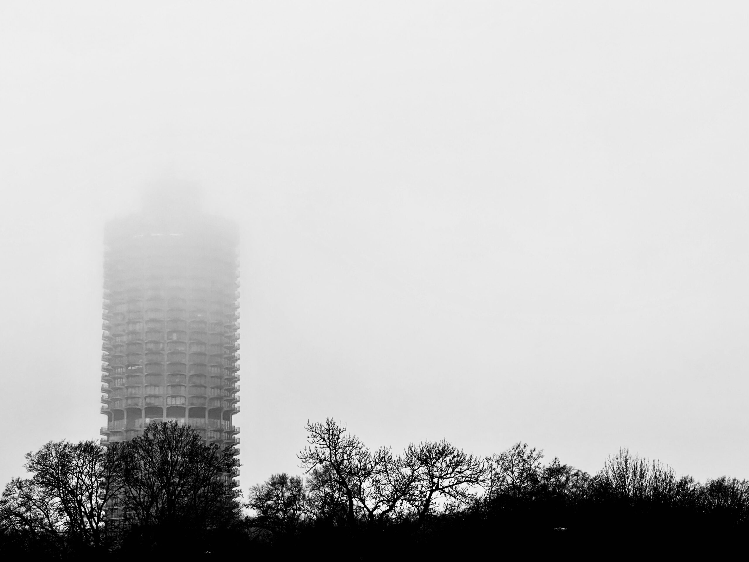 IMG_8671